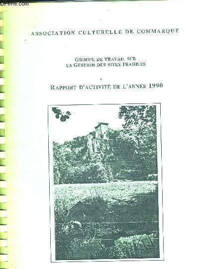 RAPPORT D'ACTIVITE DE L'ANNEE 1990