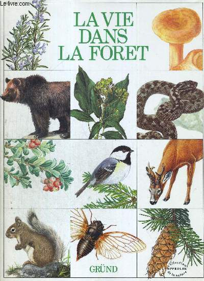 LA VIE DANS LA FORET