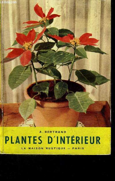 PLANTES D'INTERIEUR