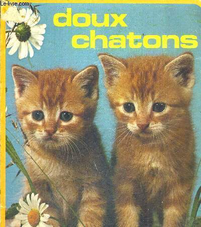 DOUX CHATONS - COLLECTION ANIMAUX PREFERES