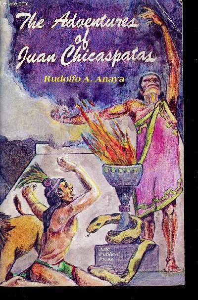 THE ADVENTURES OF JUAN CHICASPATAS - LIVRE EN ESPAGNOL