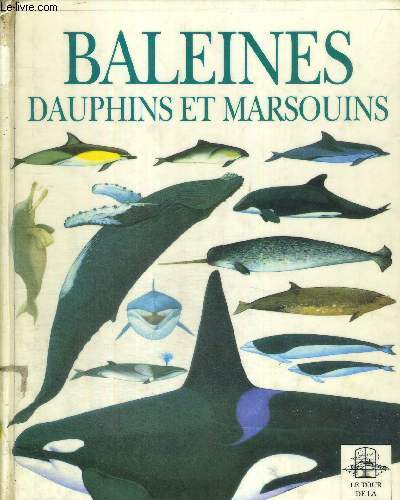 BALEINES - DAUPHINS ET MARSOUINS