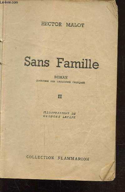 SANS FAMILLE - TOME 2