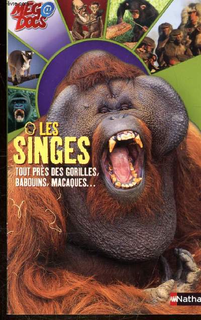 LES SINGES - TOUT PRES DES GORILLES, BABOUINS, MACAQUES...