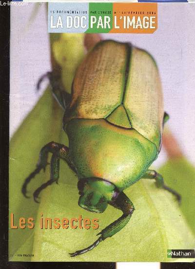 LA DOCUMENTATION PAR L'IMAGE. N 153/ FEVRIER 2006. LA DOC PAR L'IMAGE. LES INSECTES.