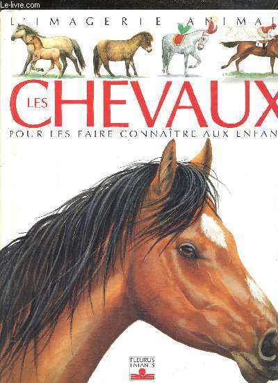 LES CHEVAUX - POUR LES FAIRE CONNAITRE AUX ENFANTS - COLLECTION IMAGERIE ANIMALE -
