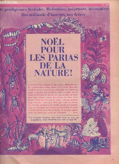 ENCYCLOPEDIE DE ELLE. LE DOSSIER DU MOIS - SUPPLEMENT AU N 42-Nol pour les parias de la nature! La fantastique pyramide des vivants. La mouche: ses crimes et ses vertus. Dites merci au collembole. La magie cleste des lucioles.L'cran ferique des ailes