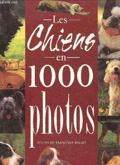 Les chiens en 1000 photos -