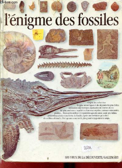 L'nigme des fossiles -