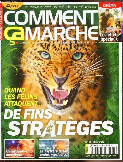 Comment a marche -Devient tout comprendre + - n81 - Mars 2017 - Quand les flins attaquent... de fins statges .