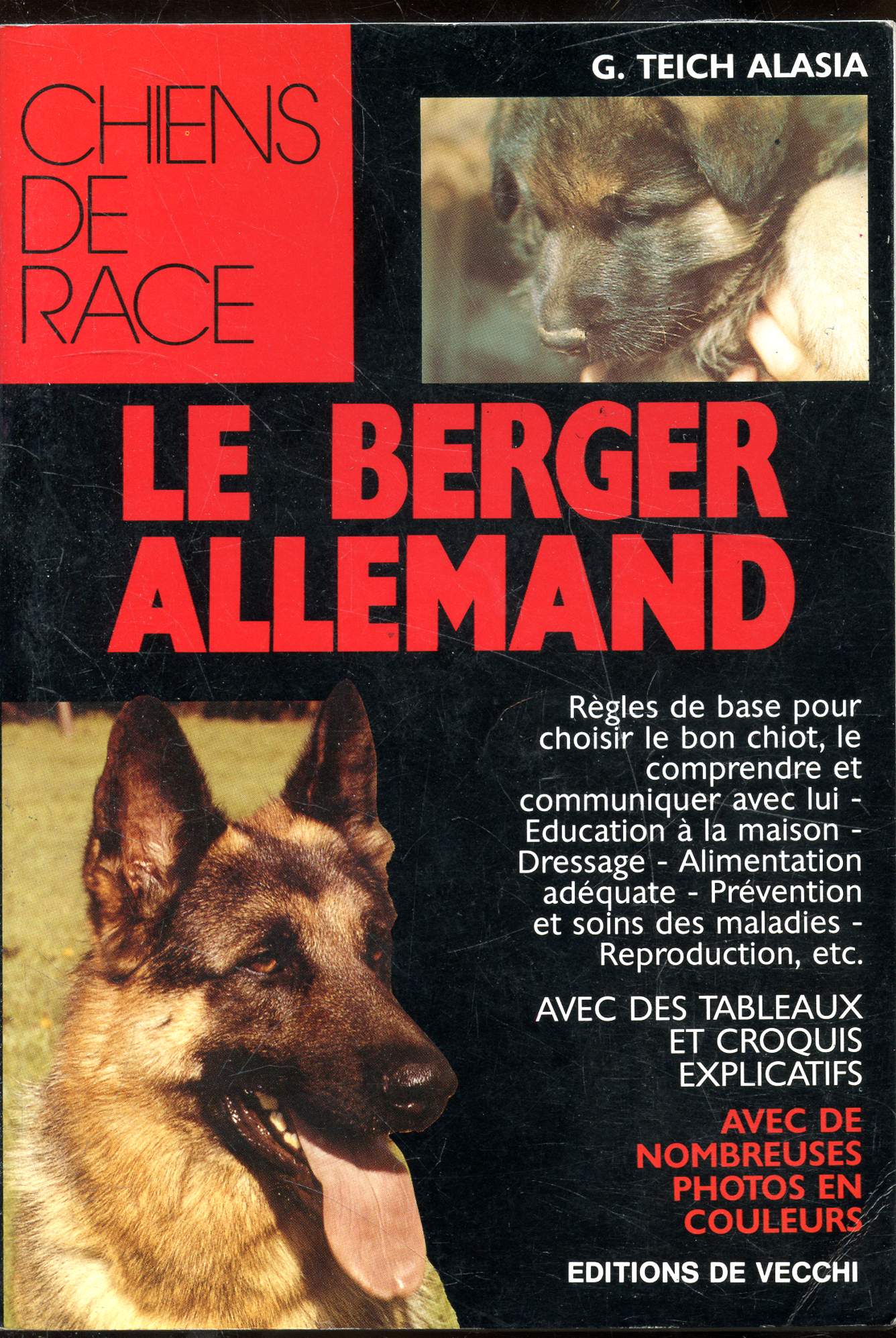 Chiens de Race - Le Berger Allemand -