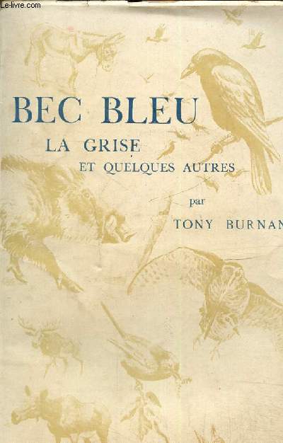 Bec bleu la grise et quelques autres