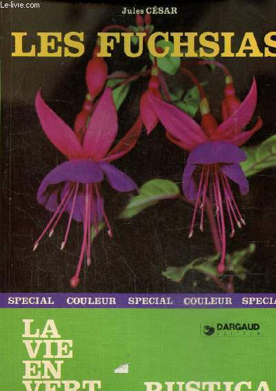 Les fuschias