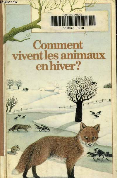 Comment vivent les animaux en hiver ?