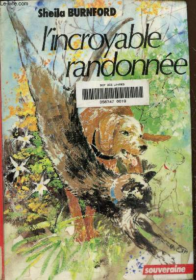 L'incroyable randonne