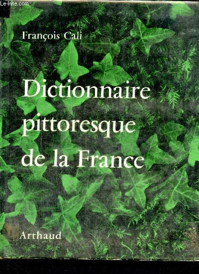 Dictionnaire pittoresque de la France
