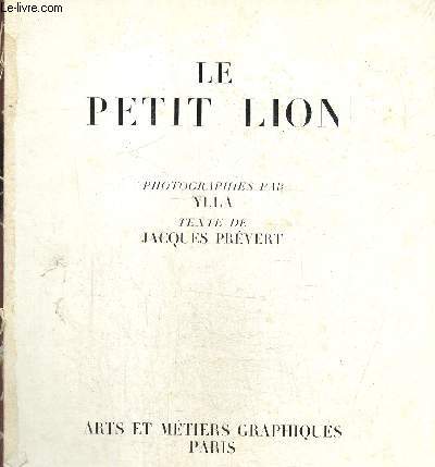 Le Petit Lion