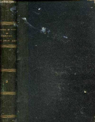 Histoire de deux ans (1870-1871), tome III