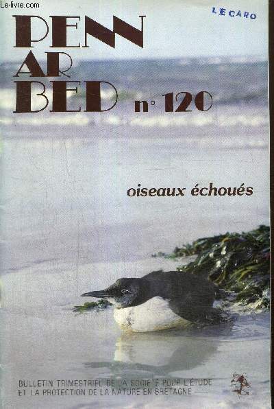 Penn Ar Bed, 32e anne, volume 16, n120 : Oiseaux chous (Bruno Bargain, Pierre le Floc'h, Alain Thomas)