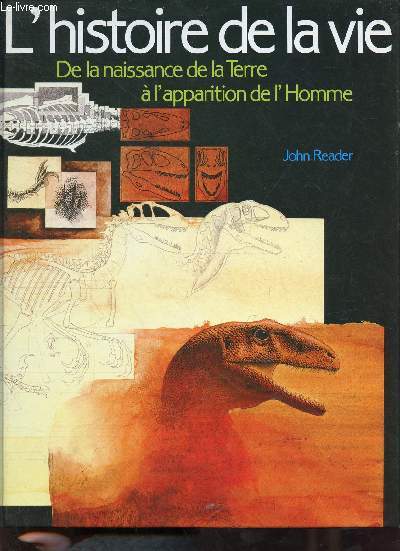 L'histoire de la vie de la naissance de la terre  l'apparition de l'homme.