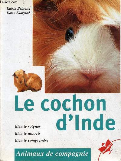 Le cochon d'inde - bien le soigner, bien le nourrir, bien le comprendre - Collection Marabout Animaux de compagnie n6413.