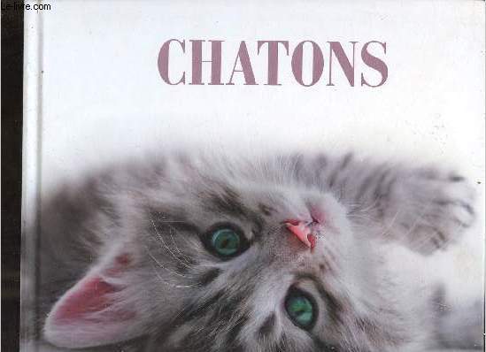 Chatons.