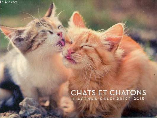 Chats et chatons l'agenda-calendrier 2018.