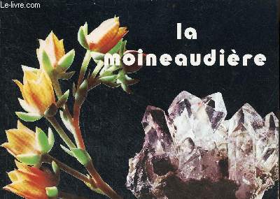 Brochure : la moineaudire.