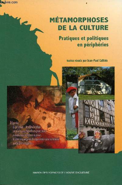 Mtamorphoses de la culture - Pratiques et politiques en priphries.