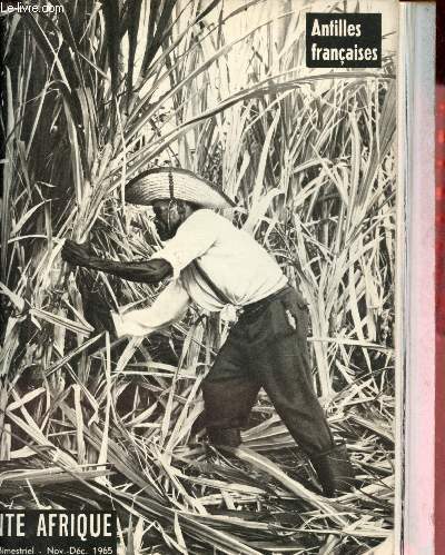 Vivante Afrique n241 novembre dcembre 1965 - Les Antilles franaises - ditorial (J.R.de Benoist) - les petites Antilles - les deux les soeurs - jalons d'histoire des iles - le type antillais - dmographie galopante - les esclaves sont vangliss etc.
