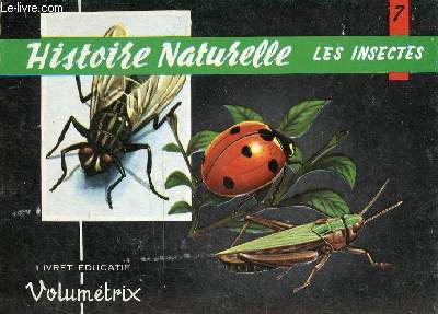 Histoire naturelle n7 : les insectes.