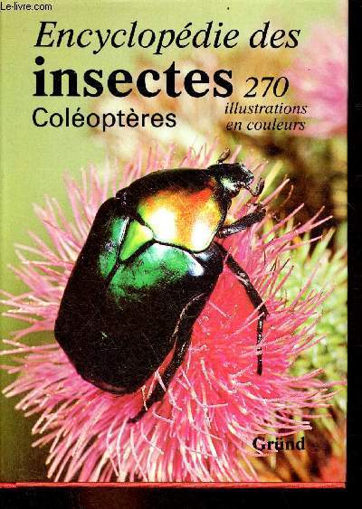 Encyclopdie des insectes coloptres.