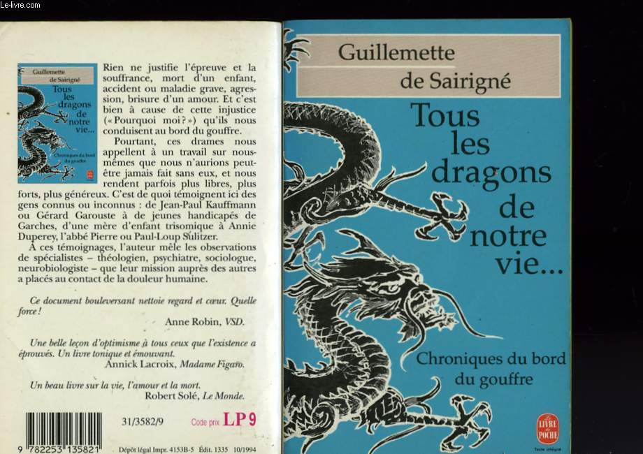 TOUS LES DRAGONS DE NOTRE VIE... CHRONIQUE DU BORD DU GOUFFRE