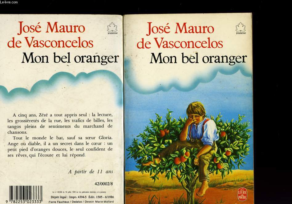 Résumé Mon Bel Oranger Par Chapitre MON BEL ORANGER de DE VASCONCELOS JOSE MA... | Achat livres - Ref