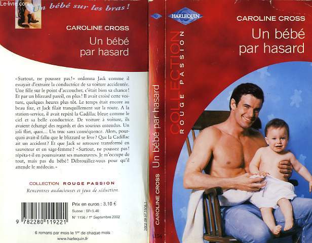 UN BEBE PAR HASARD - THE BABY BLIZZARD