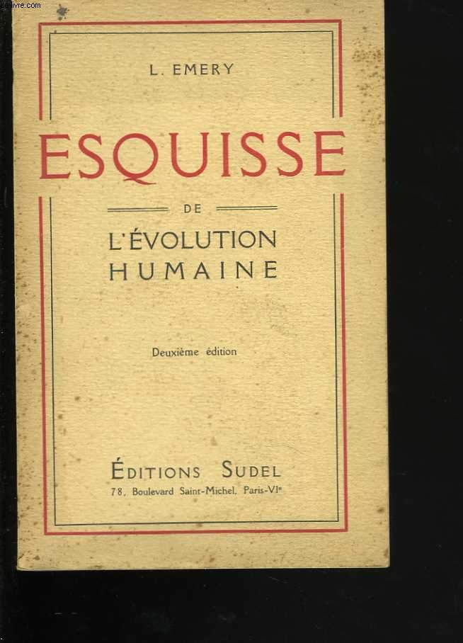 Esquisse de l'volution humaine