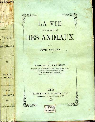 La vie et les moeurs des animaux. Zoophytes et mollusques