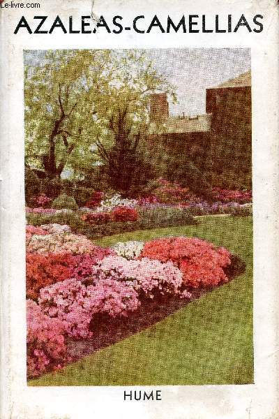 Azaleas and Camellias