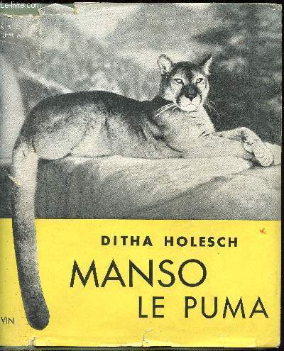 Manso le puma