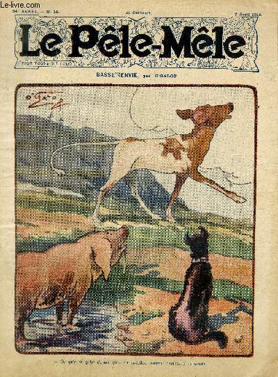 Le Ple-Mle, 24 anne, N14 - Basse envie