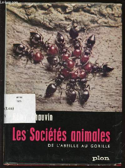 LES SOCIETES ANIMALES DE L'ABEILLE AU GORILLE.
