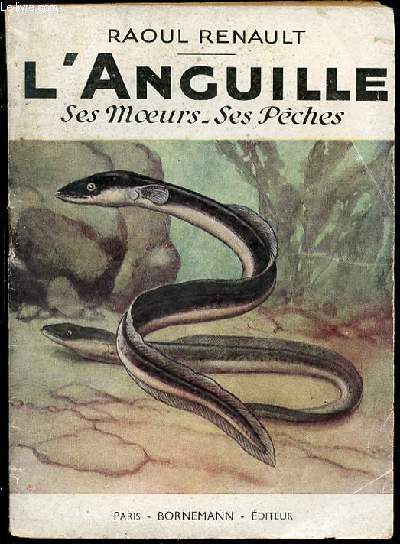 L'ANGUILLE : SES MOEURS, SES PECHES.