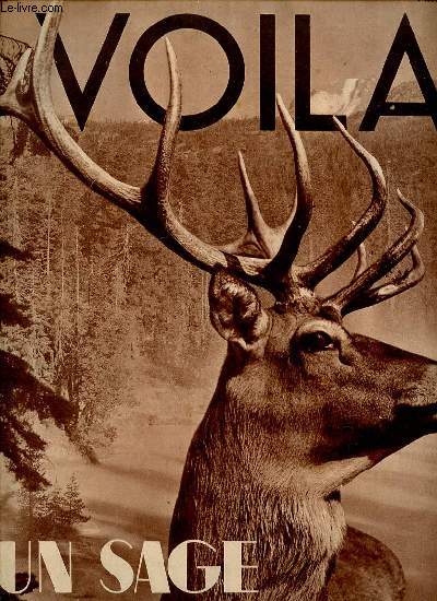 VOILA N381 / 8 JUILLET 1938 - Un sage de la fort : souvenirs d'un chasseur en Amrique du Nord / Le secret du Docteur Carrel / L'art de rompre / Beauts  l'escale / Paul et Virginie / Des muscles en 30 jours / ETC.