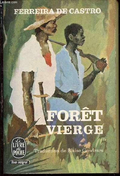 FORET VIERGE : 