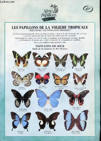 LA SERRE AUX PAPILLONS : LES PAPILLONS DE LA VOLIERE TROPICALE.