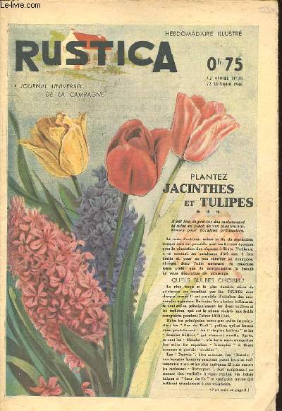 RUSTICA N38 : JOURNAL UNIVERSEL DE LA CAMPAGNE - PLANTEZ JACINTHES ET TULIPES / Songez  oeilletonner vos artichauts / Repiquages d'automne au potager / Pche le caoutchouc / Pour intensifier la production du btail / Le canard de barbarie / ETC.