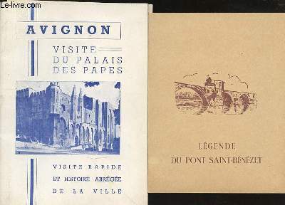 AVIGNON VISITE DU PALAIS DES PAPES - VISITE RAPIDE ET HISTOIRE ABREGEE DE LA VILLE