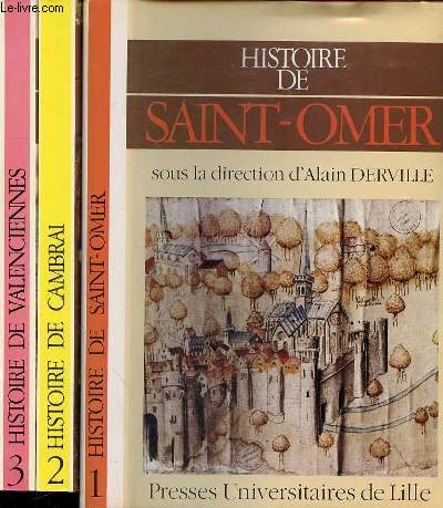 HISTOIRE DE SAINT-OMER TOME 1 - HISTOIRE DE CAMBRAI TOME 2 - HISTOIRE DE VALENCIENNES TOME 3 / 3 TOMES EN 3 VOLUMES