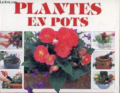 PLANTES EN POTS