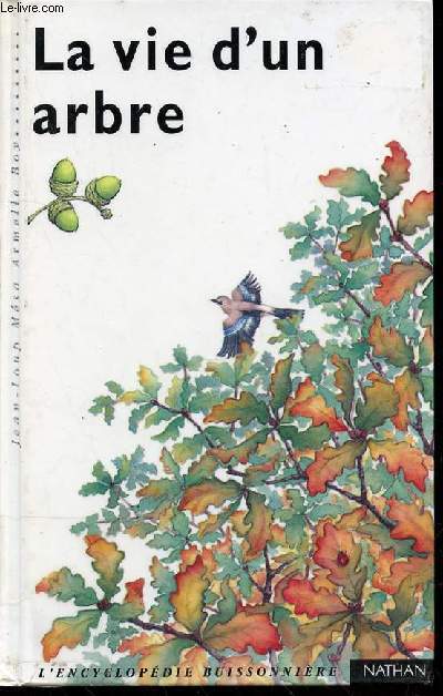 LA VIE D'UN ARBRE